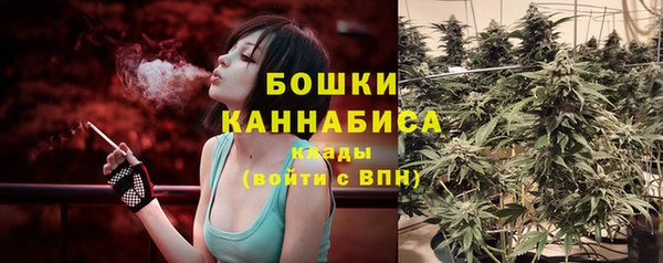2c-b Костерёво