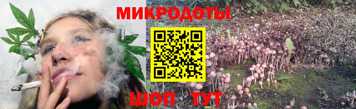 Галлюциногенные грибы ЛСД Семилуки